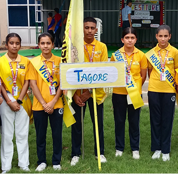 IPS Sultanpur Students activity 11